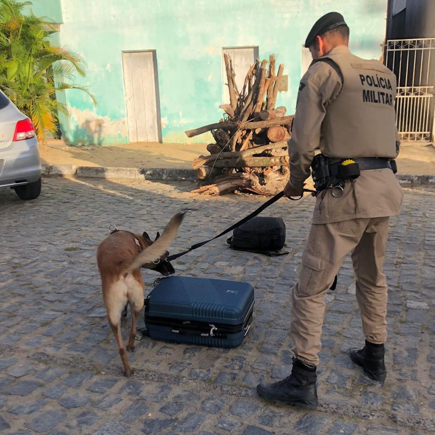 Cão farejador da PRE localizou drogas que iriam para o São João de Ibicuí Cão farejador da PRE localizou drogas que iriam para o São João de Ibicuí