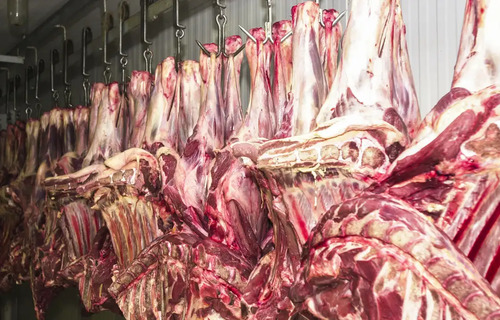 Agro representa quase metade dos produtos brasileiros exportados em 2023