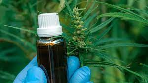 Estado da Bahia terá que fornecer medicamento à base de canabidiol para criança de 5 anos com epilepsia de difícil controle Estado da Bahia terá que fornecer medicamento à base de canabidiol para criança de 5 anos com epilepsia de difícil controle