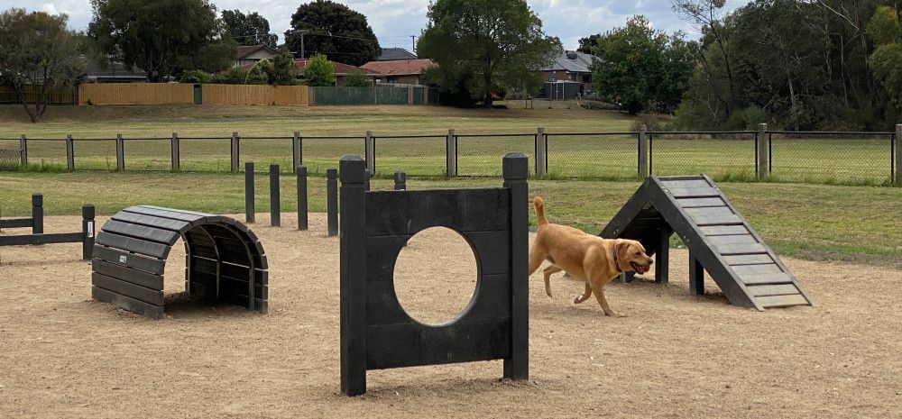 Construção de DOG PARKS na cidade volta a ser solicitada pelo vereador Ramon Fernandes Construção de DOG PARKS na cidade volta a ser solicitada pelo vereador Ramon Fernandes