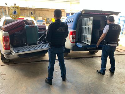 Meia tonelada de droga é incinerada em Vitória da Conquista Meia tonelada de droga é incinerada em Vitória da Conquista