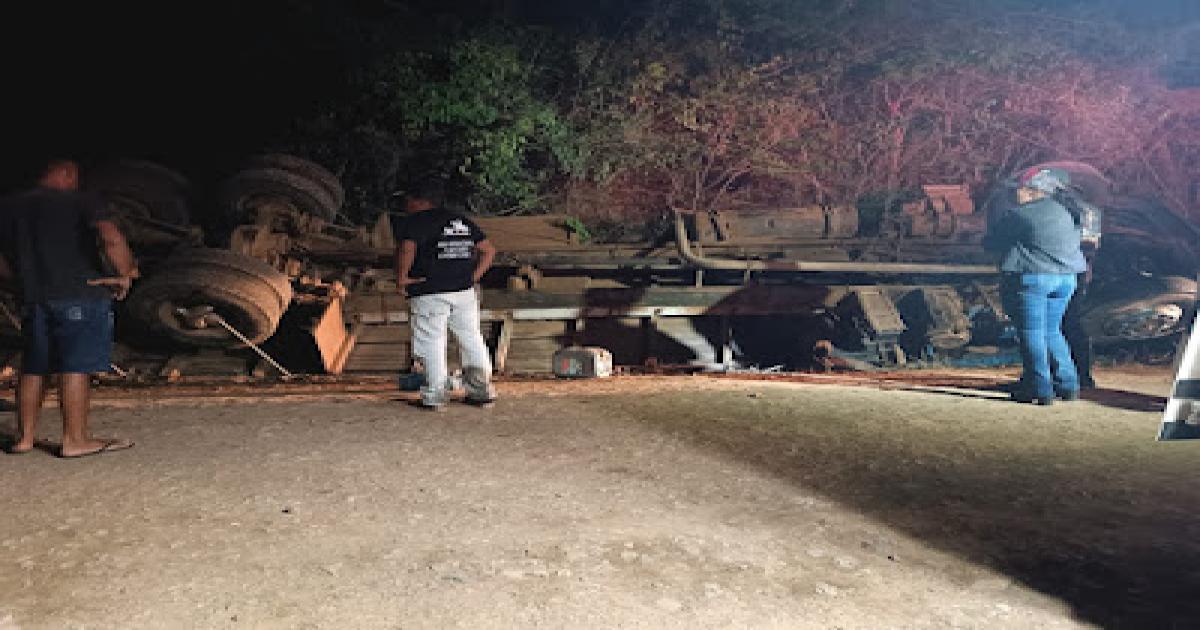 Aurelino Leal: Pelo menos 14 animais morreram em acidente com caminhão boiadeiro após retorno de cavalgada
