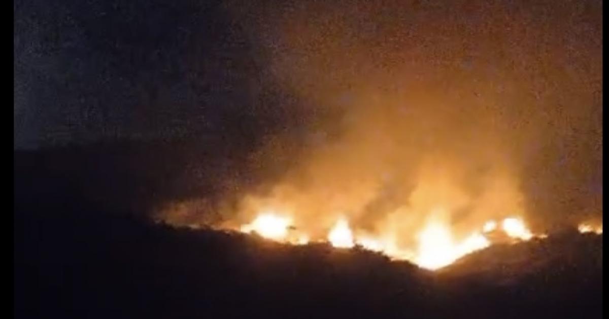 Incêndio criminoso atingiu a Fazenda Sapucaia