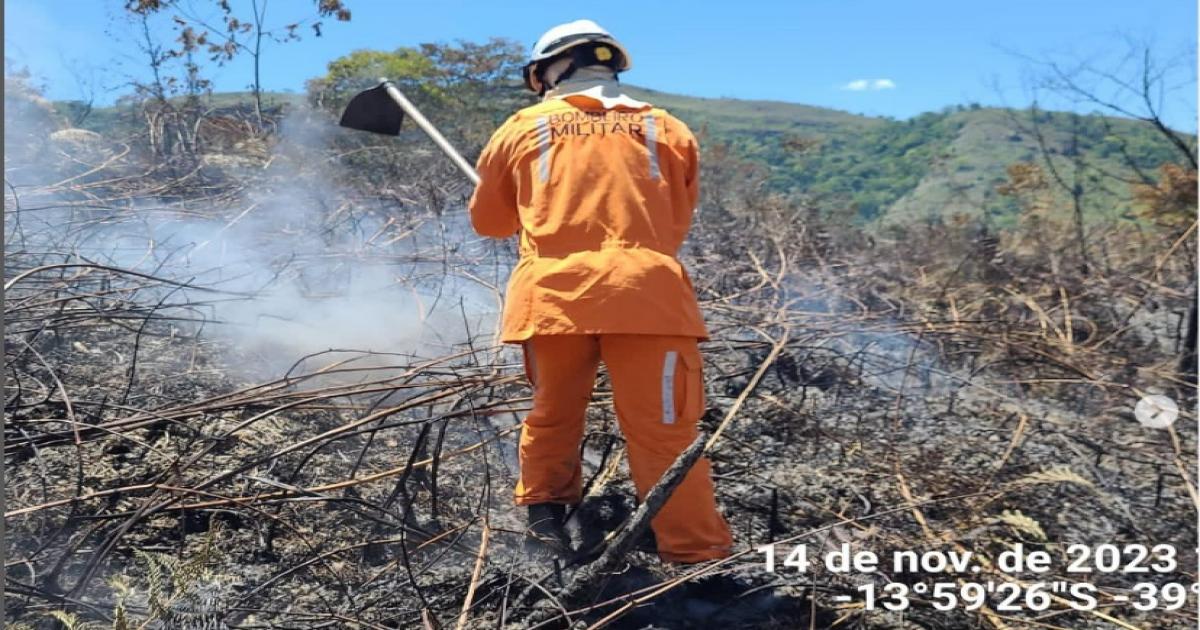 Focos de incêndios continuam atingindo a zona da mata de Jequié