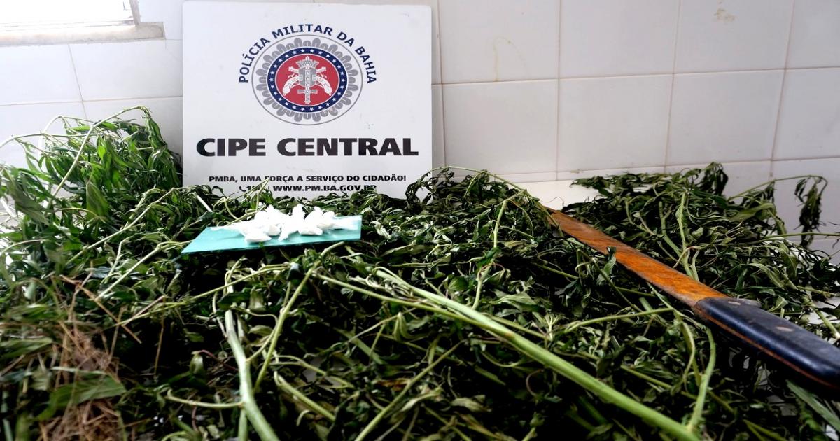 CIPE Central descobre plantação de maconha em Brejões