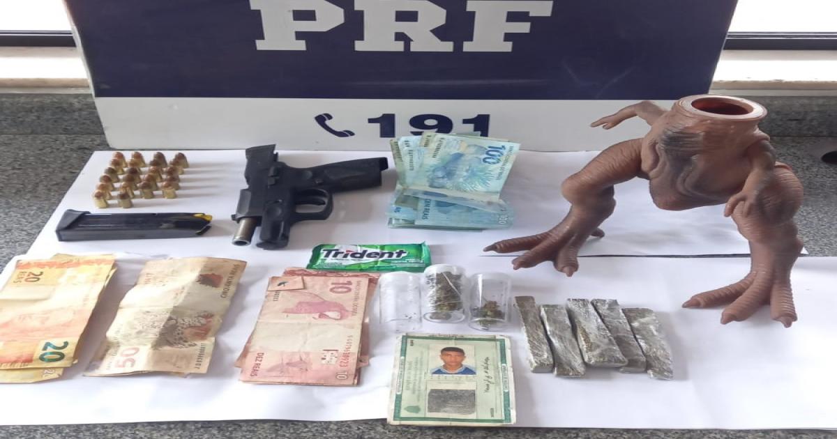 PRF apreende maconha dentro de dinossauro