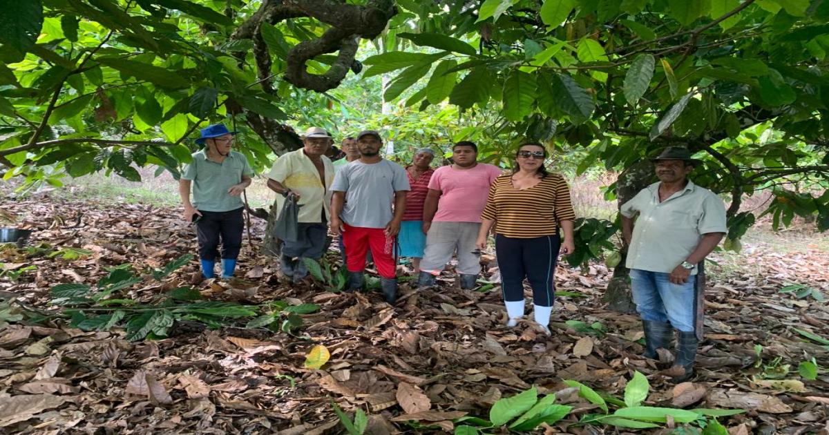 Prefeitura de Jitaúna promove capacitação de agricultores na cultura do Cacau.