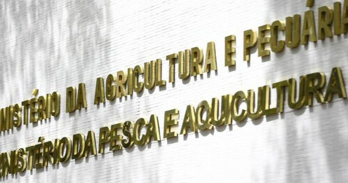 Gripe aviária é detectada em 3 aves silvestres no litoral do Espírito Santo
