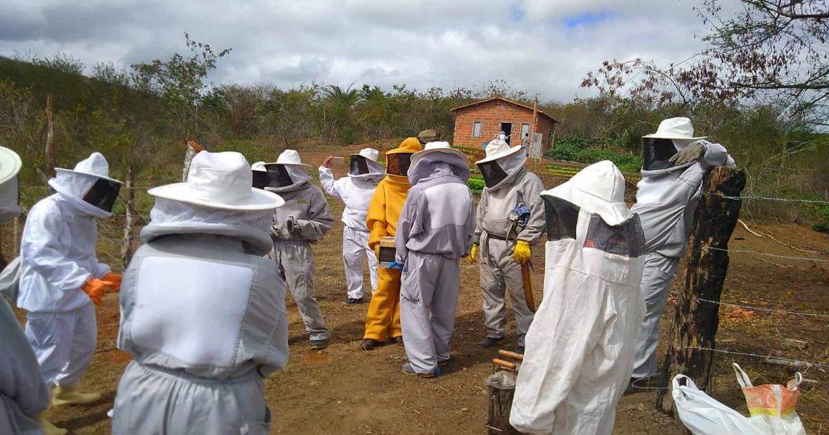 APICULTURA SE TORNA FONTE DE RENDA PARA AGRICULTORES DO ASSENTAMENTO SÃO JUDAS TADEU