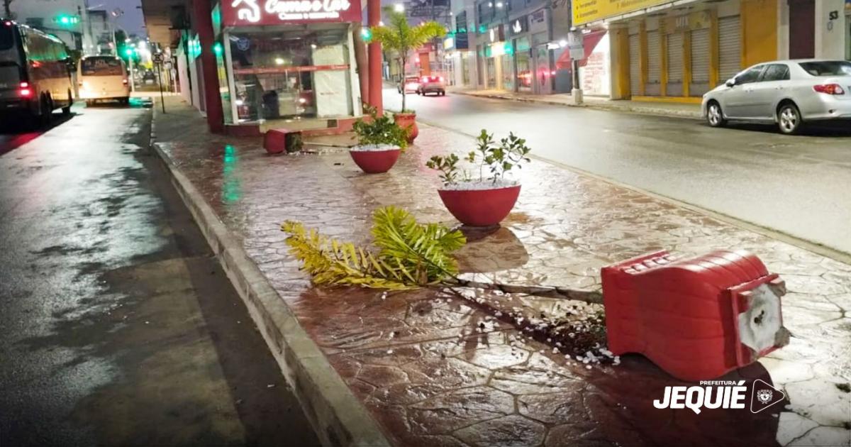 Prefeitura de Jequié busca identificar vândalos que depredaram canteiro da Rua Presidente Dutra, cometendo crime contra patrimônio público