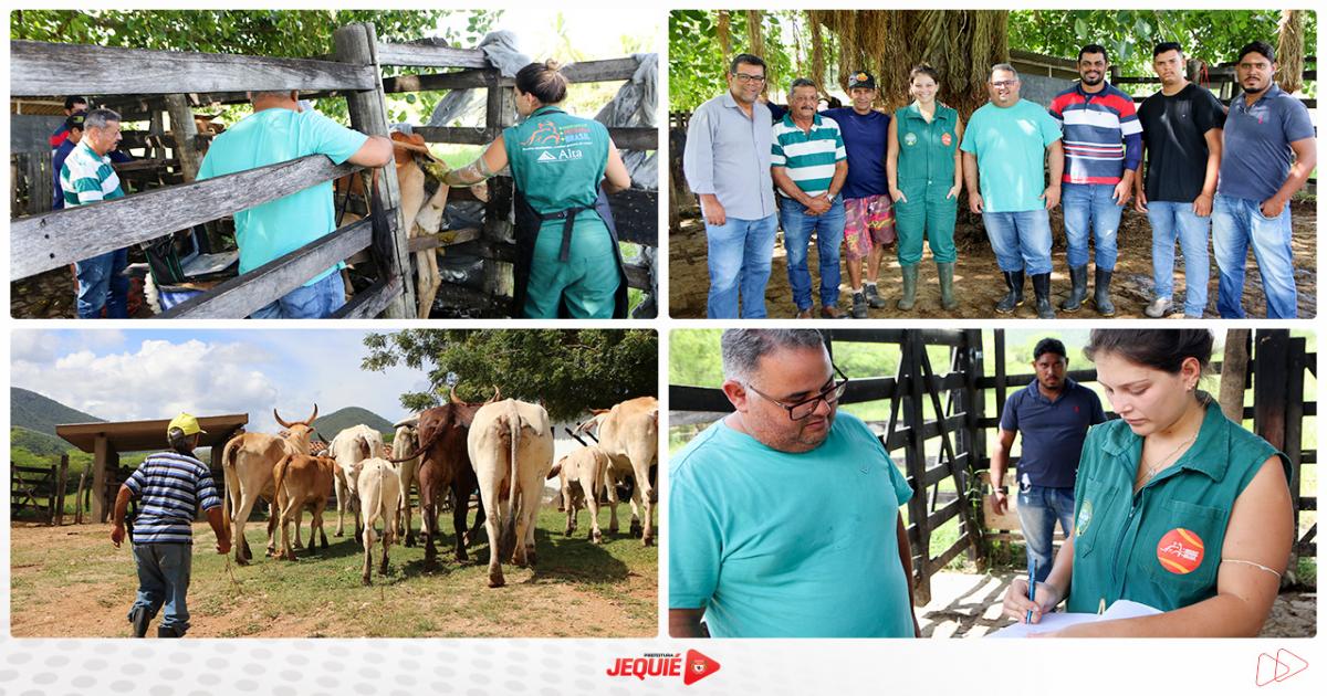 Prefeitura de Jequié inicia Programa Mais Pecuária Brasil contemplando pequenos produtores rurais