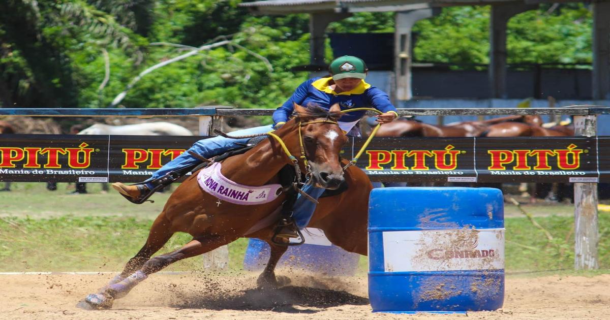 Evento marca a criação da Associação Baiana de Equiprovas