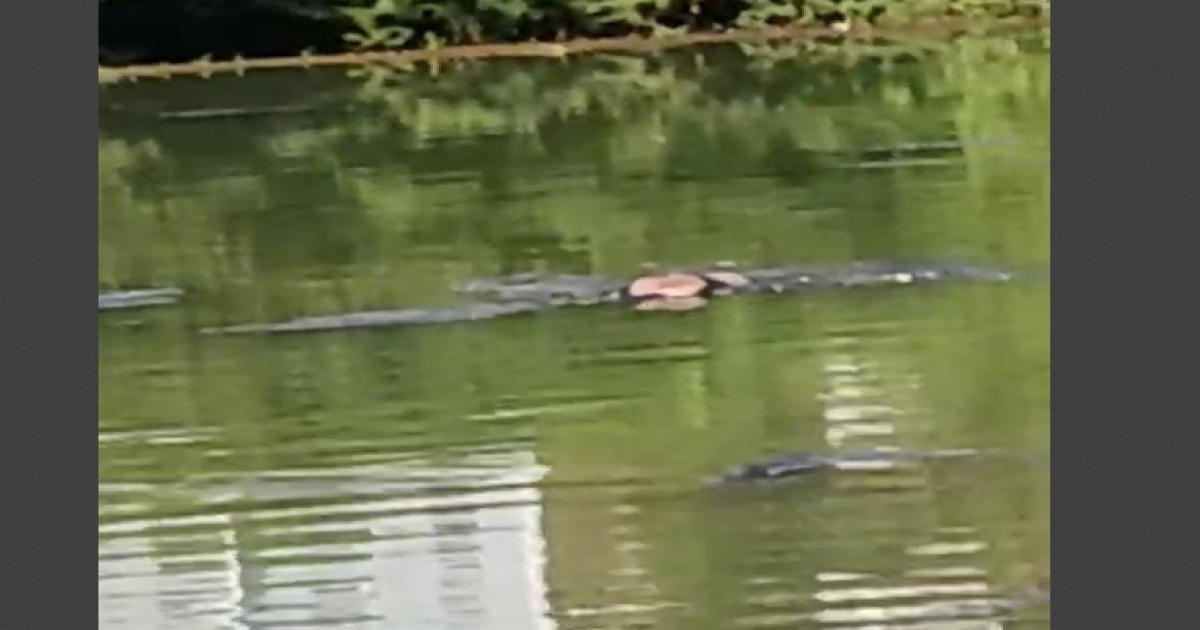 Corpo que estava boiando no Rio das Contas ainda não foi encontrado