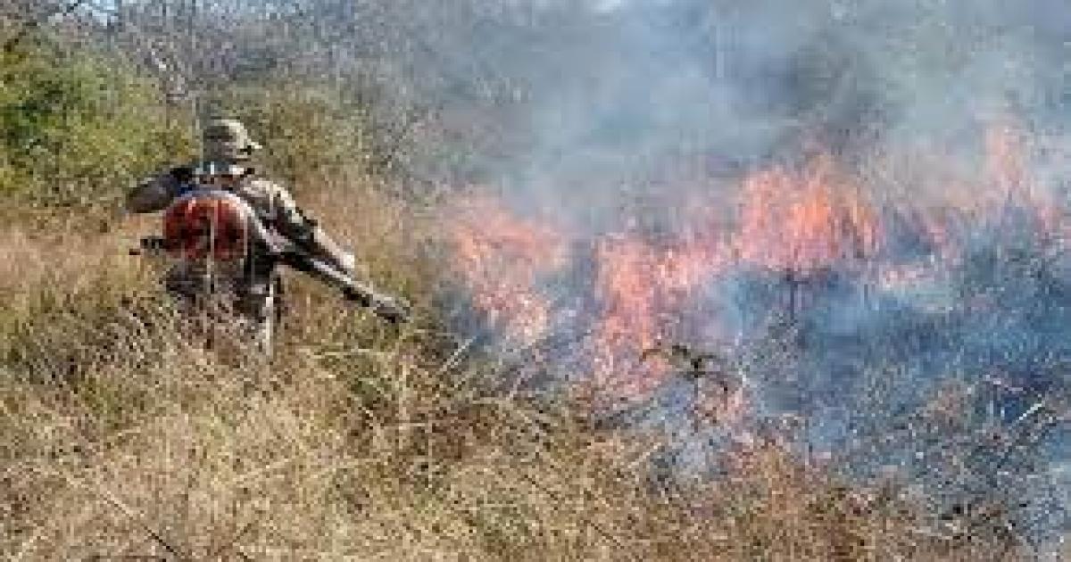 Homem é acionado por provocar incêndio no Morro do Junco em Rio de Contas