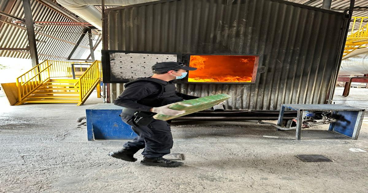 PF incinerou duas toneladas de maconha apreendida na BR 116