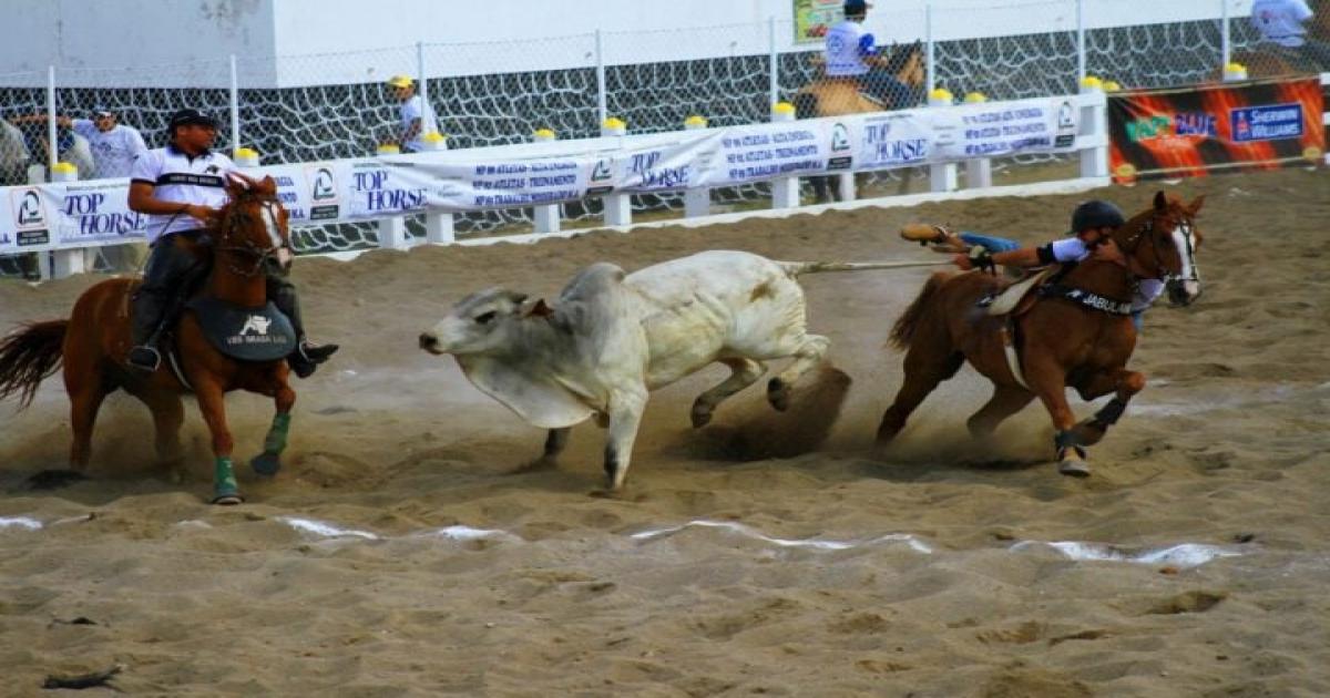 MP recomenda medidas de proteção dos animais que participarão de vaquejadas em Casa Nova