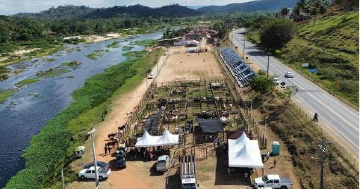 Prefeitura de Jitaúna e Secretaria de Agricultura realizaram grande Feira de Animais; sucesso absoluto diz secretário.