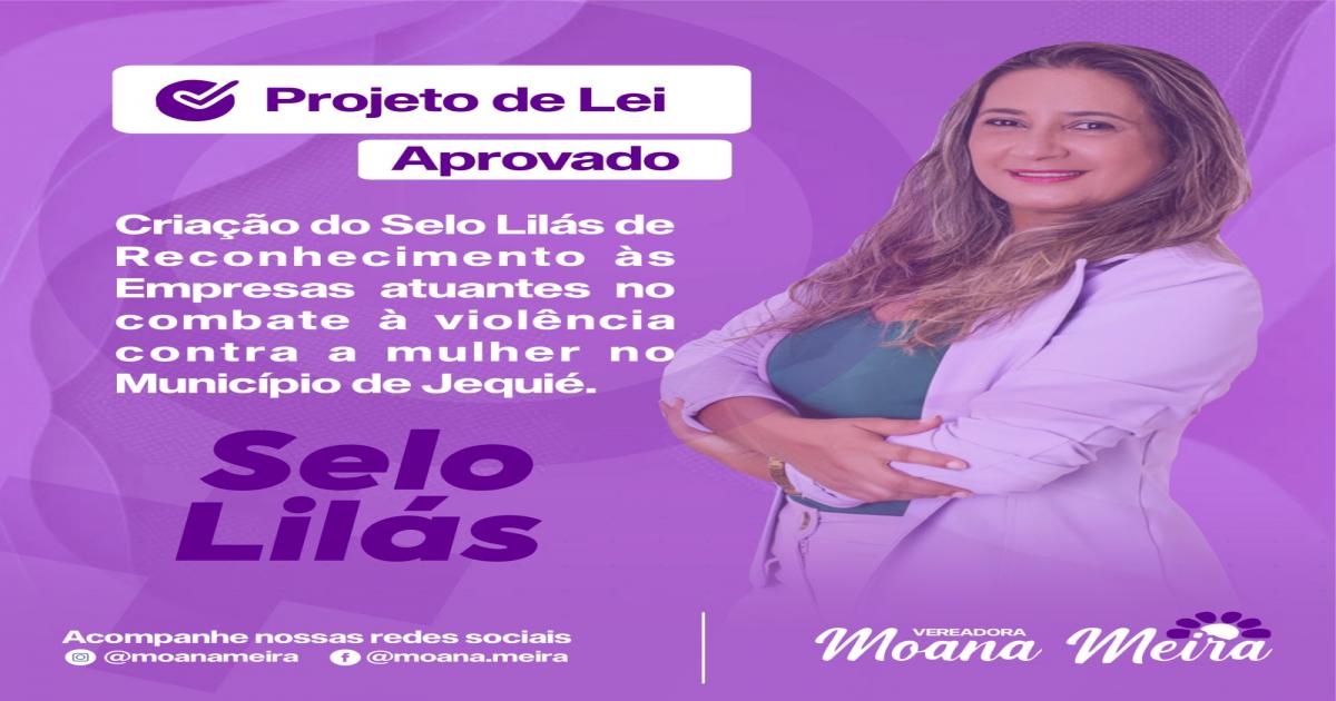 Projeto da Vereadora Moana Meira cria selo lilás para empresas que combatem a violência contra a mulher