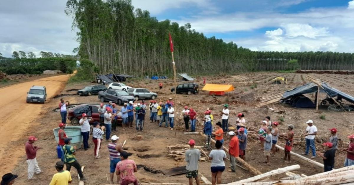 Invasões de terras: ministério cria mesa de negociação entre empresa e MST