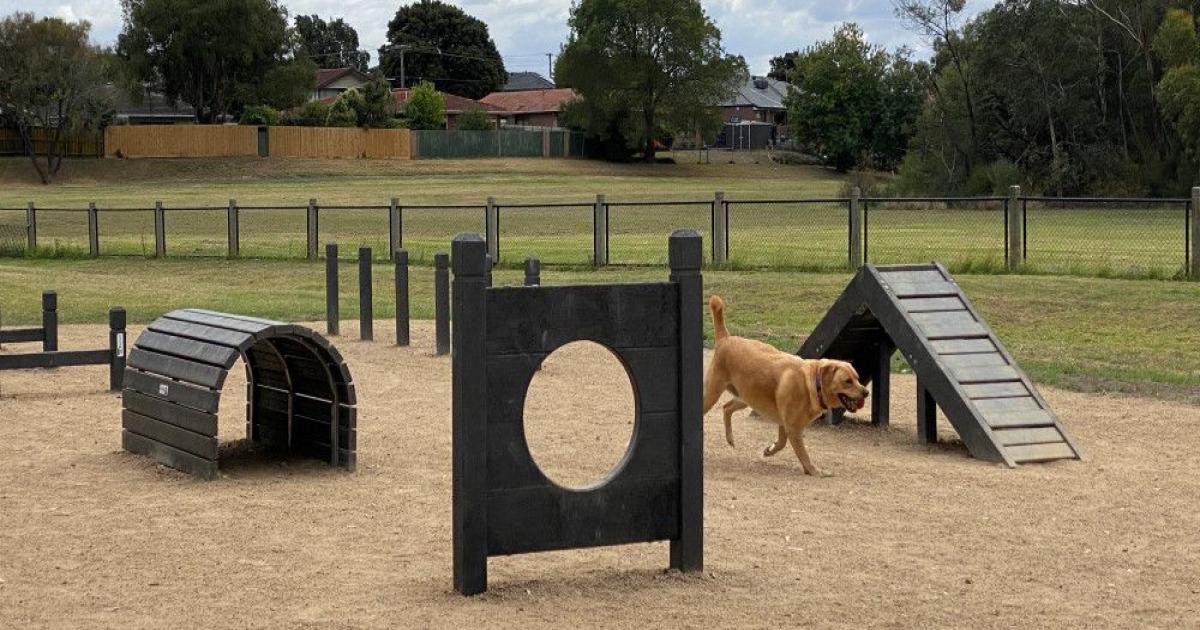 Construção de DOG PARKS na cidade volta a ser solicitada pelo vereador Ramon Fernandes