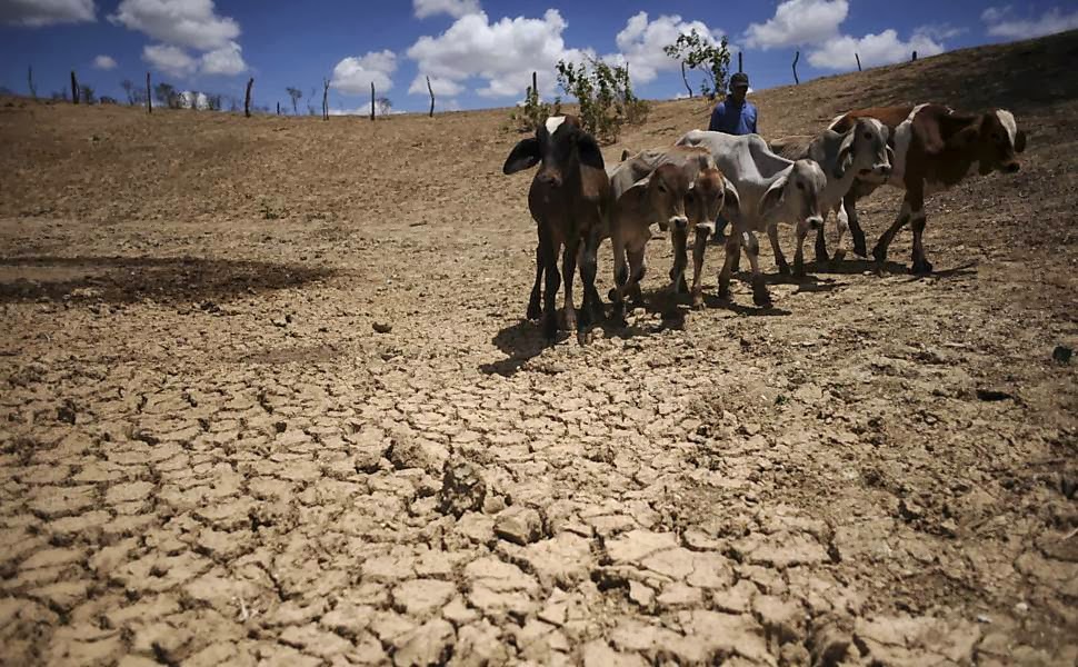 Estiagem na Bahia: cinco cidades obtêm o reconhecimento federal de situação de emergência Estiagem na Bahia: cinco cidades obtêm o reconhecimento federal de situação de emergência