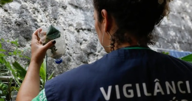 DENGUE: Bahia tem tendência de alta nos casos da doença