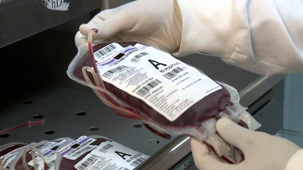 Justiça autoriza transfusão de sangue em criança que teve o direito negado pelos pais
