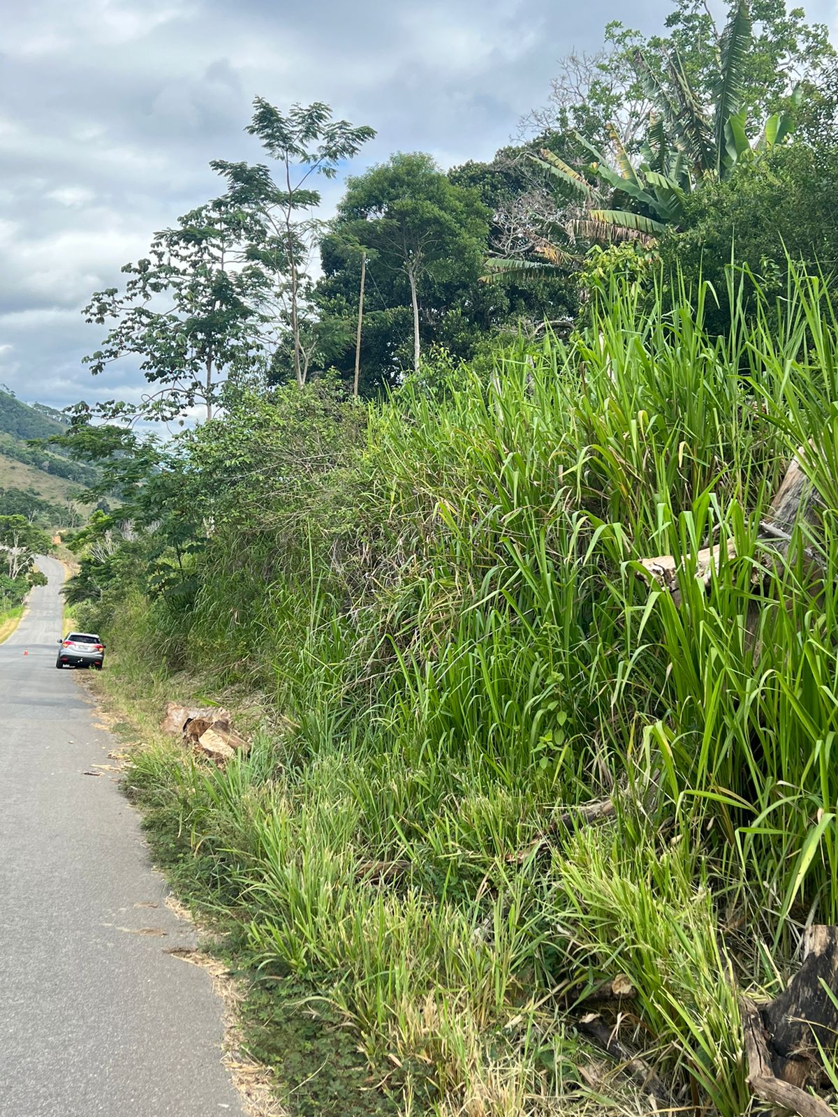 Ao realizar ultrapassagem motorista sai da pista e atinge barranco na estrada de Florestal Ao realizar ultrapassagem motorista sai da pista e atinge barranco na estrada de Florestal