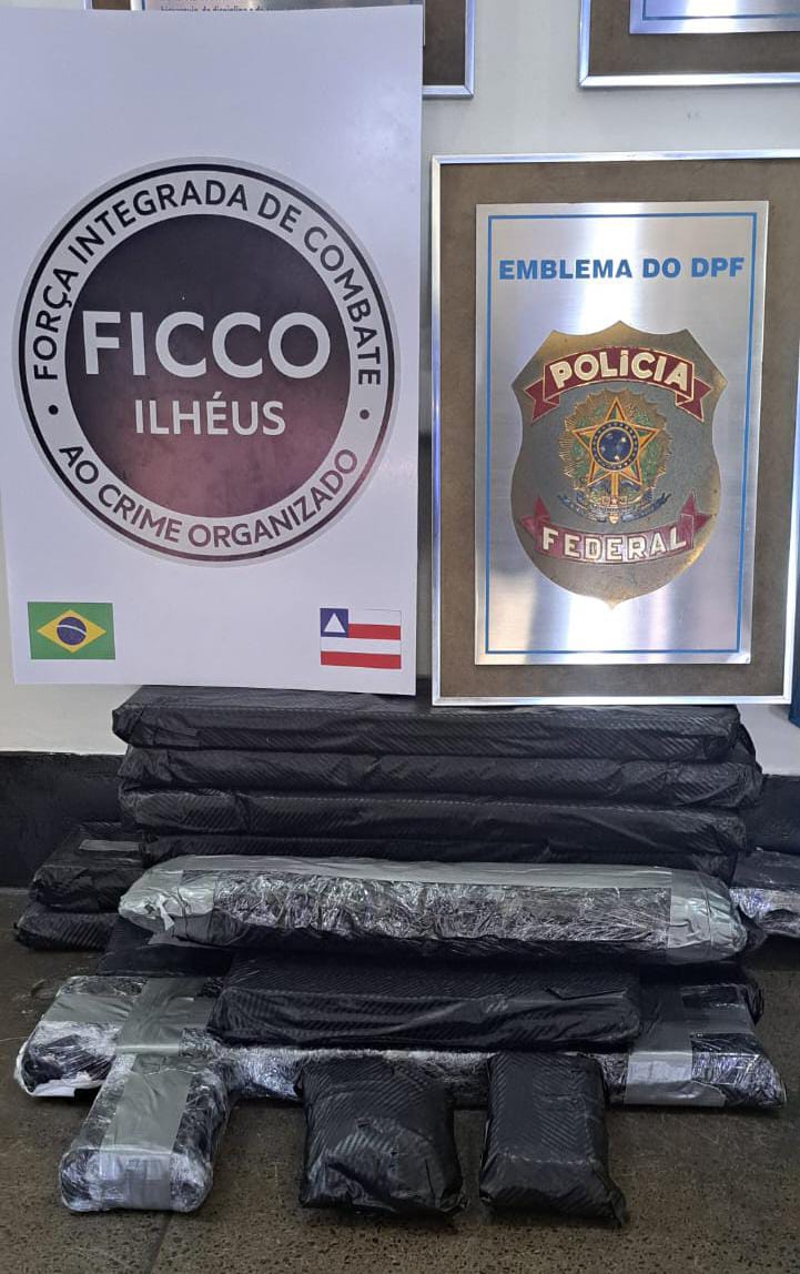 FICCO Ilhéus e PF interrompem transporte de cocaína em navio cruzeiro FICCO Ilhéus e PF interrompem transporte de cocaína em navio cruzeiro
