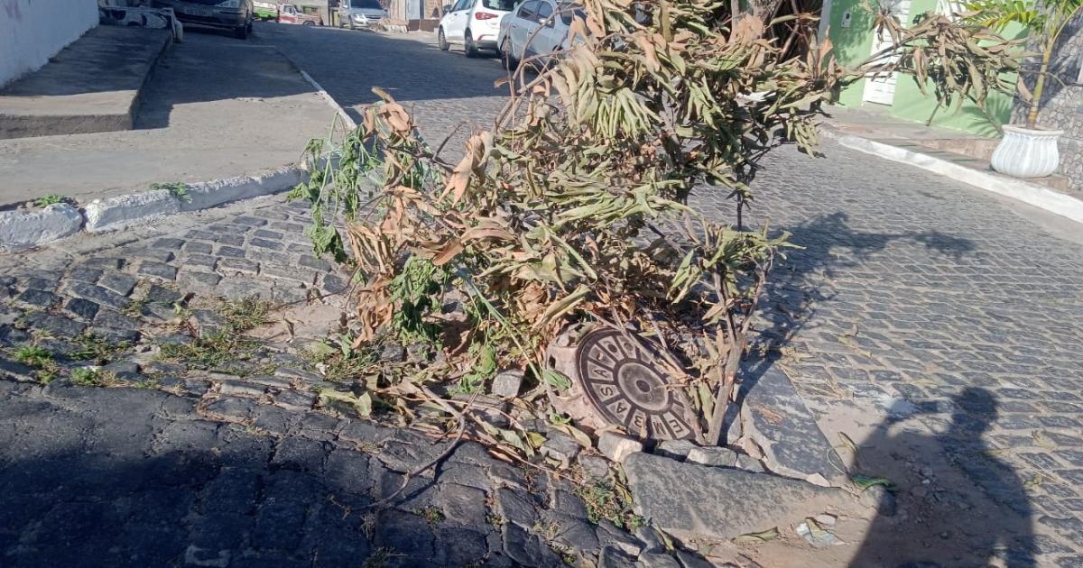 Bueiro da Embasa cede causando transtornos para motoristas no Centro de Jequié