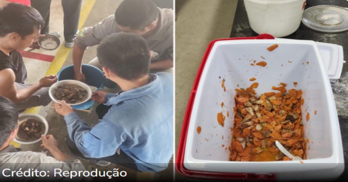 163 chineses são resgatados em situação análoga à escravidão na BYD