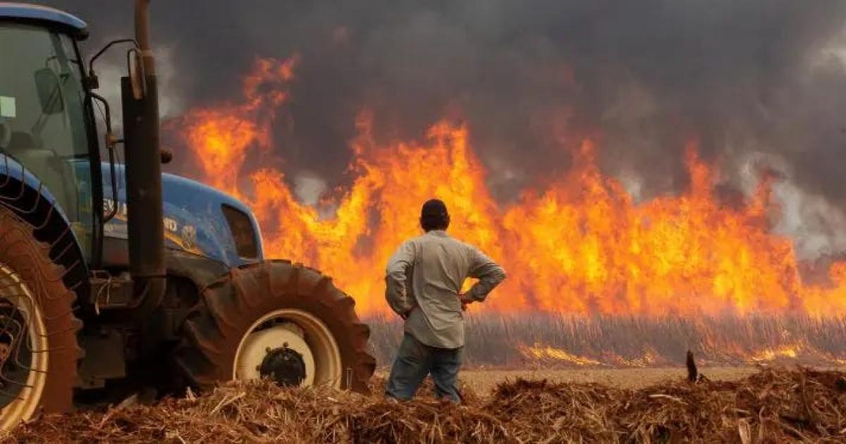 PCC por trás dos incêndios de SP