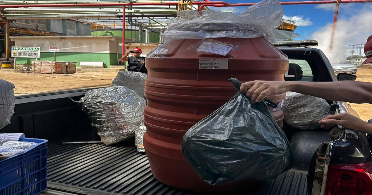 Polícia Civil incinera meia tonelada de drogas no interior da Bahia