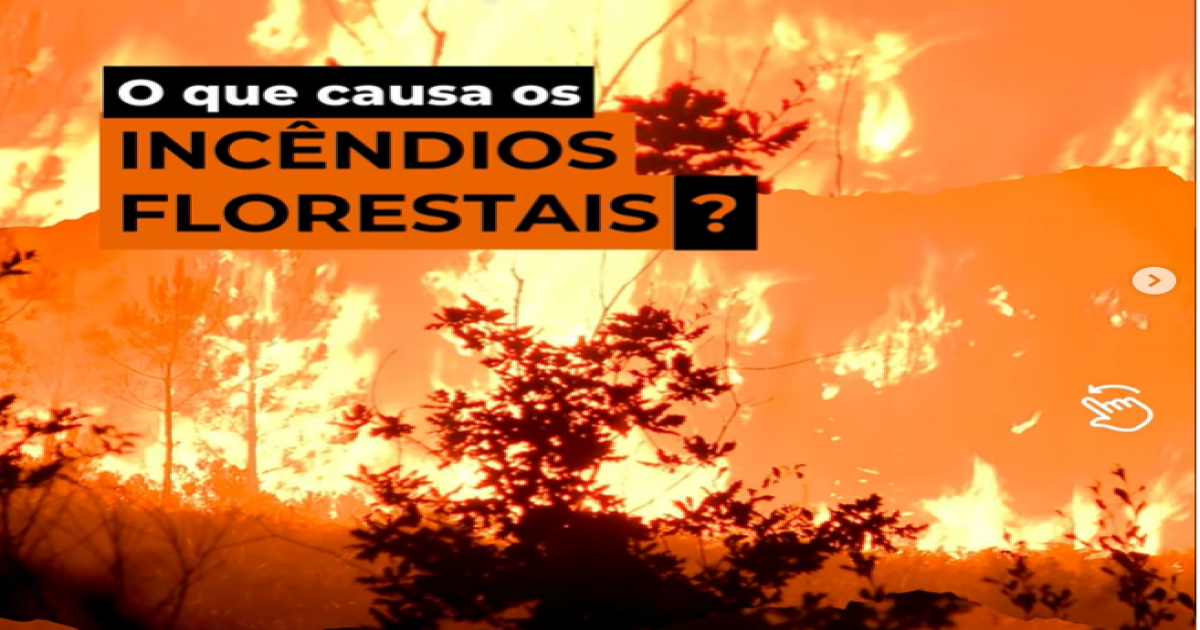 Você sabia que a maioria dos incêndios florestais é causada por ação humana?