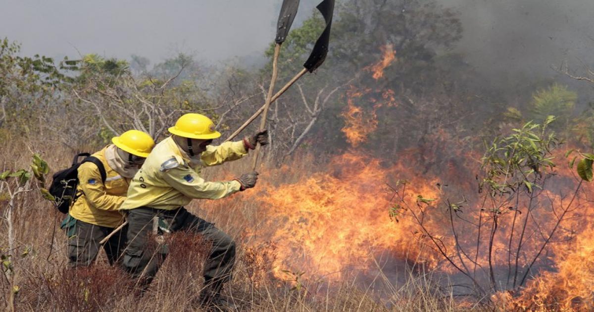 Fique atento aos primeiros sinais de um incêndio florestal