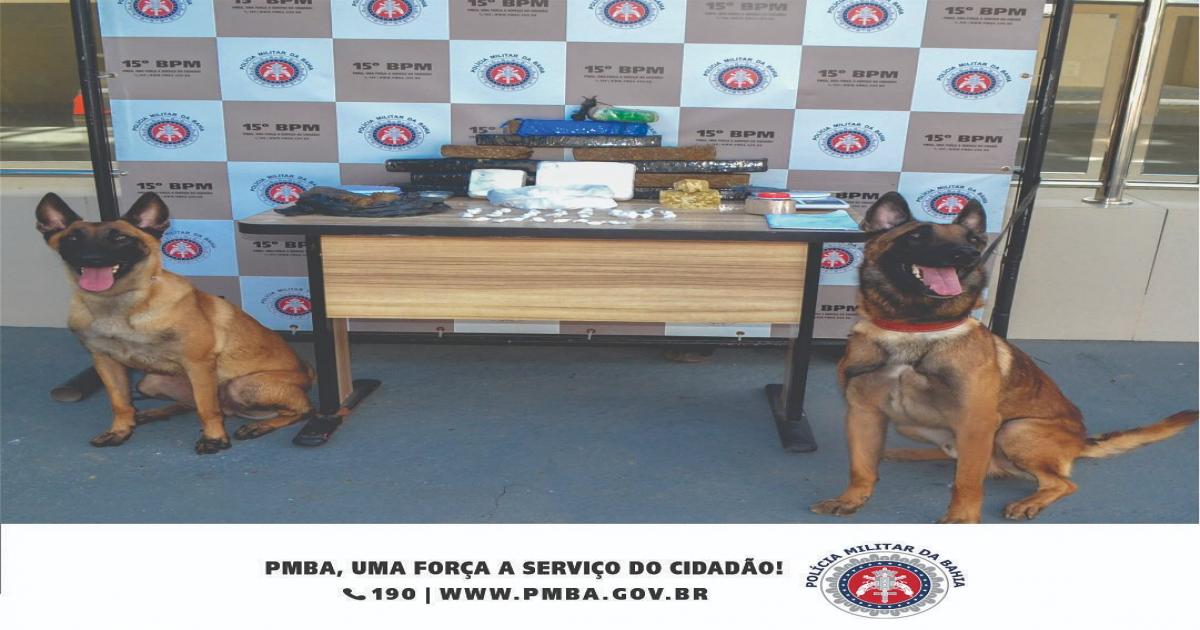 Itabuna: com ajuda de cães farejadores polícia encontra grande quantidade de drogas no matagal