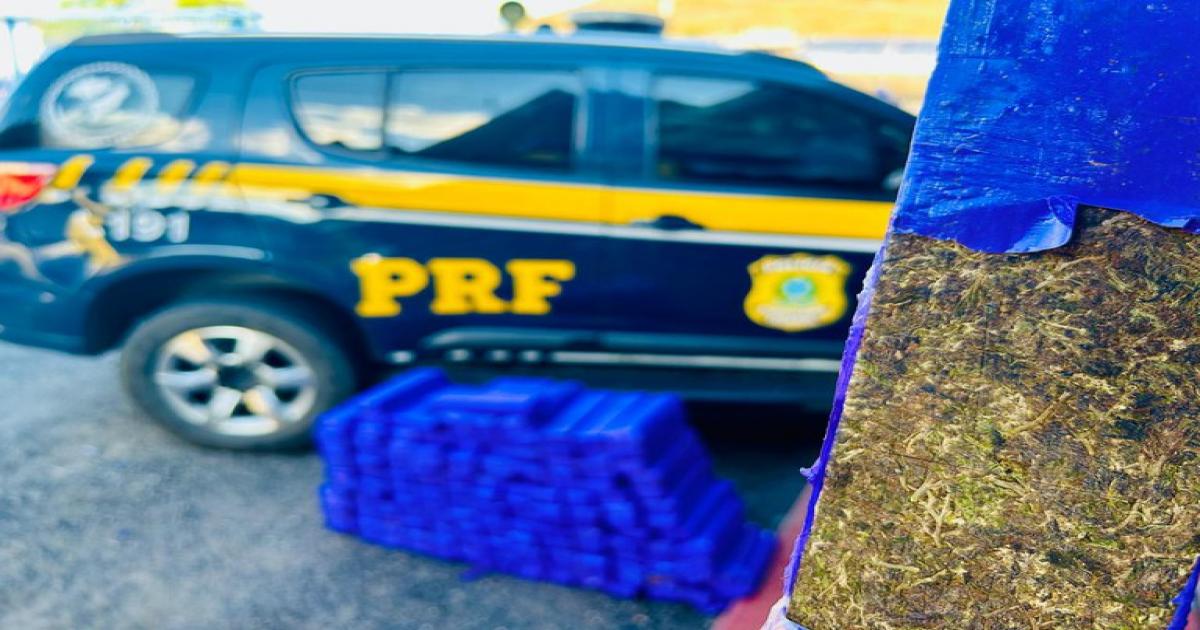 PRF apreende 130 kg de maconha em veículo roubado e detém suspeito em Jequié