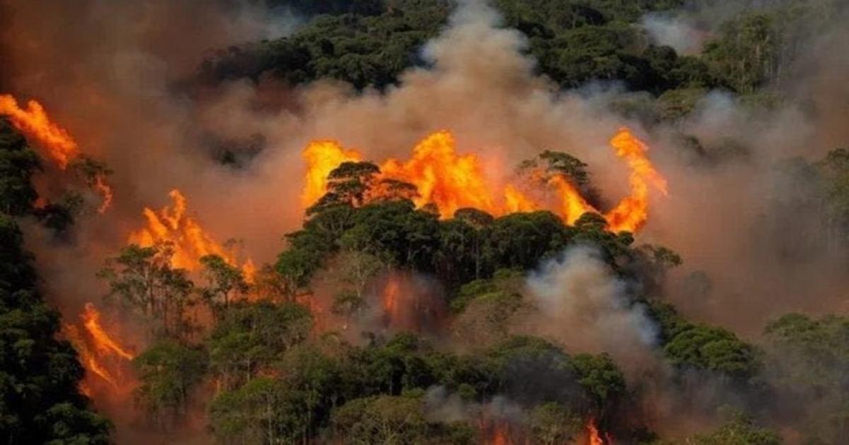 Sob Governo de Lula, Brasil registra novo aumento de incêndios na Amazônia