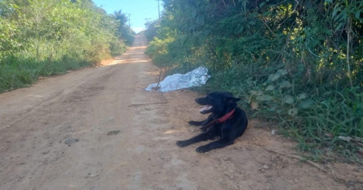 Ubatã: Trabalhador rural foi executado a tiros na região de Dois Irmãos da Mata