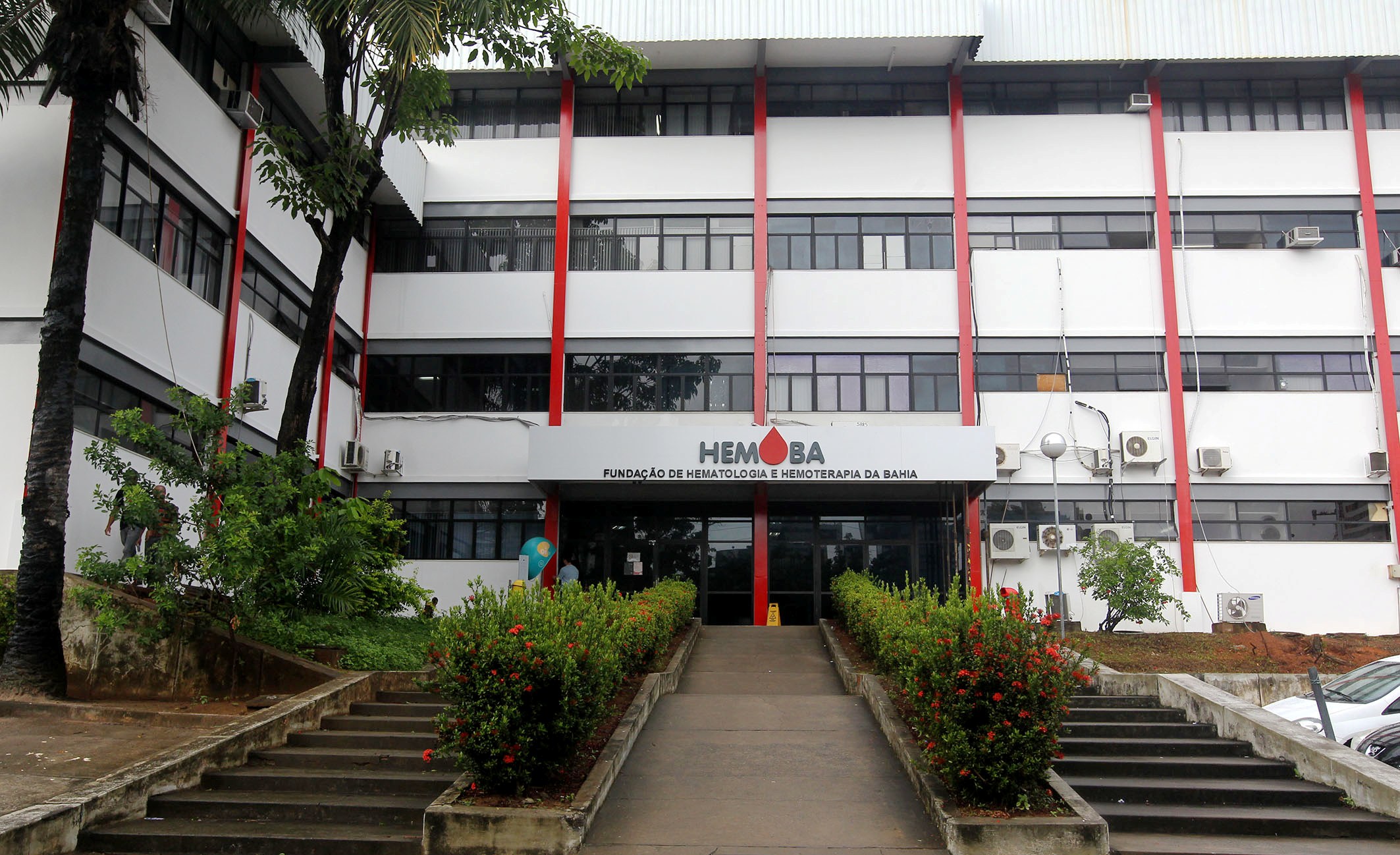 Hemoba anuncia processo seletivo REDA para 199 vagas e cadastro de reserva