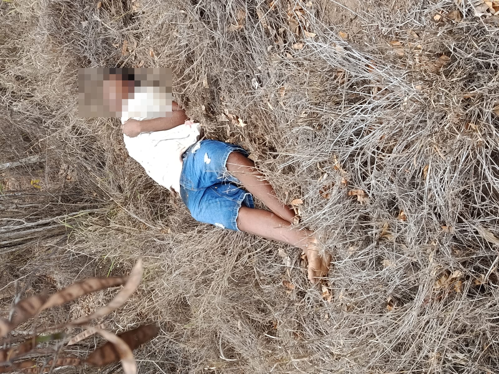 Jovem é assassinado e corpo é encontrado em matagal em Jequié Jovem é assassinado e corpo é encontrado em matagal em Jequié