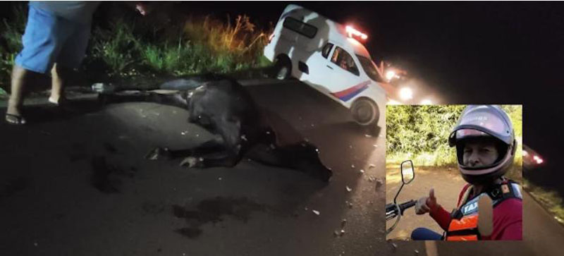 Santa Luzia: Animal solto na rodovia ocasiona grave acidente com mototaxista Santa Luzia: Animal solto na rodovia ocasiona grave acidente com mototaxista