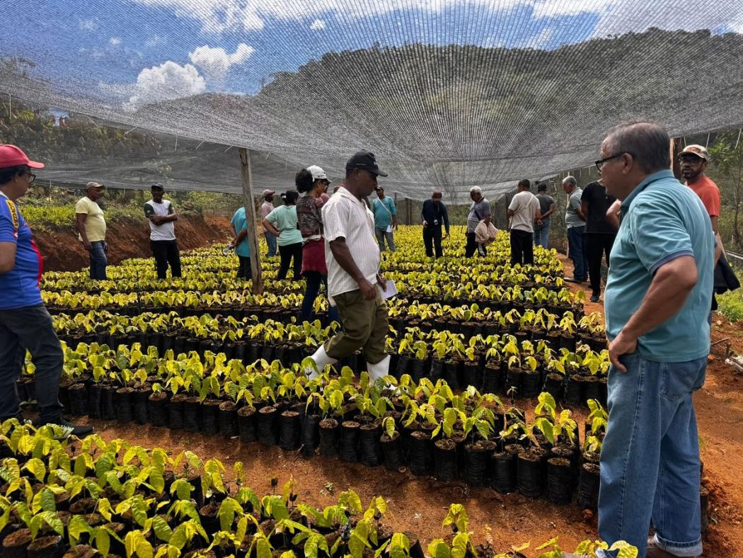 Produtores participam de novo encontro da Escola do Cacau em Itagi Produtores participam de novo encontro da Escola do Cacau em Itagi