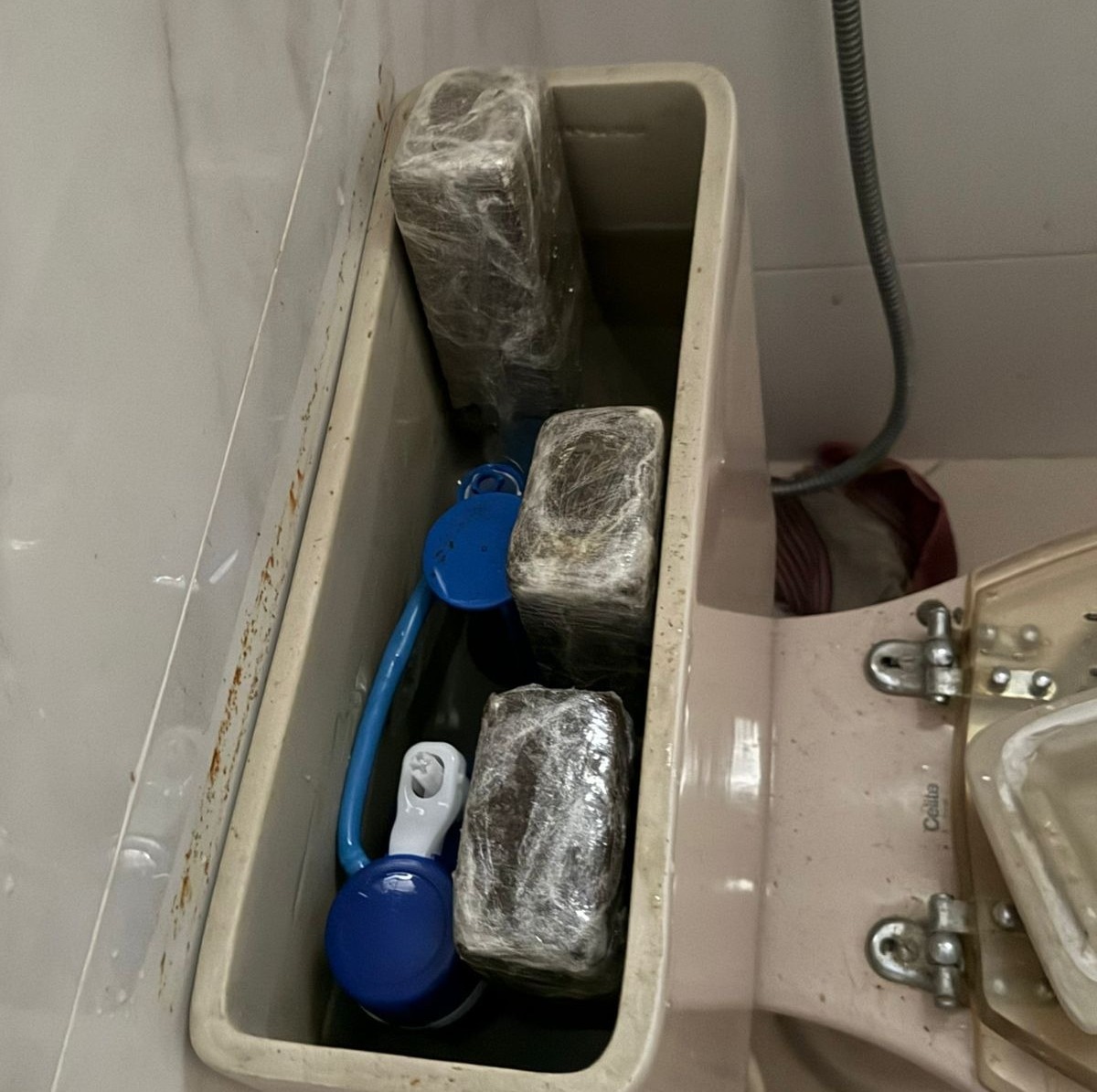 Drogas, veículo e equipamentos são apreendidos em ação conjunta em Jequié Drogas, veículo e equipamentos são apreendidos em ação conjunta em Jequié