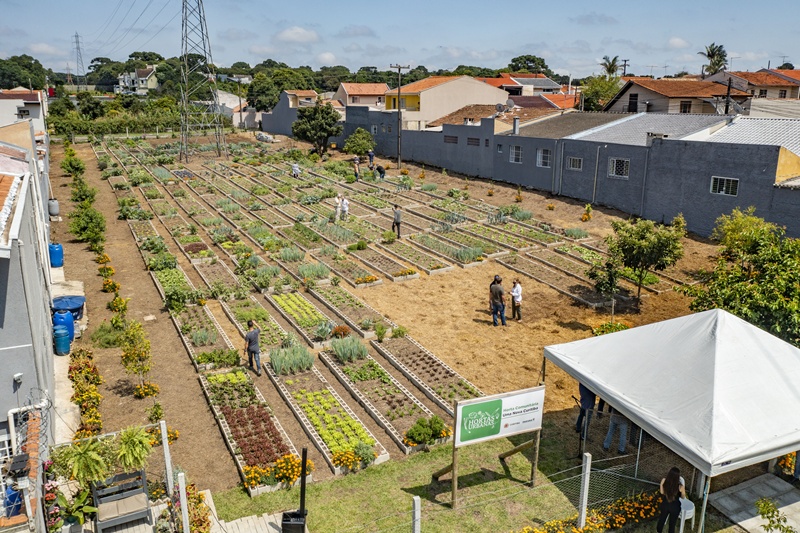 Vereador André do Sintracal defende implantação de Hortas Comunitárias em terrenos públicos ociosos Vereador André do Sintracal defende implantação de Hortas Comunitárias em terrenos públicos ociosos
