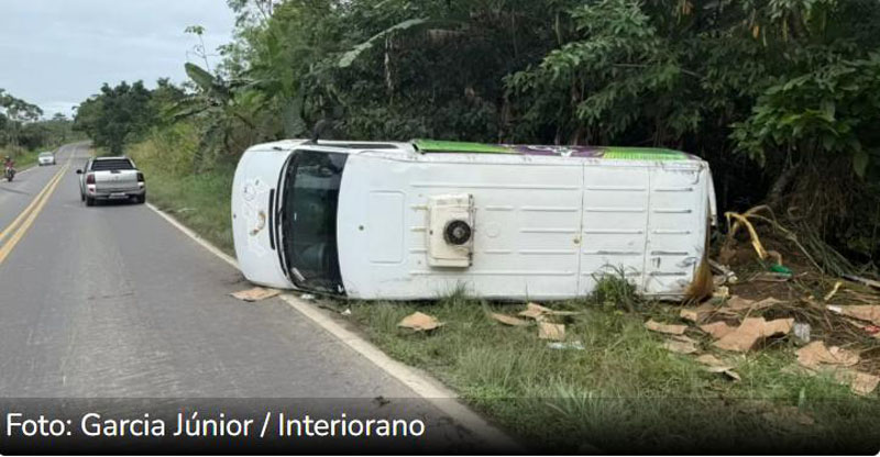 Ubatã: Populares saqueiam carga de frangos espalhada na pista após caminhão capotar na BR-330