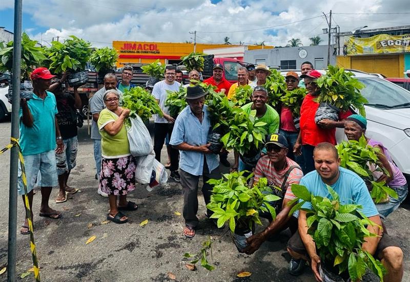 Secretaria de Meio Ambiente entregou 6 mil mudas de Cacau para Agricultores Familiares do município de Jitaúna