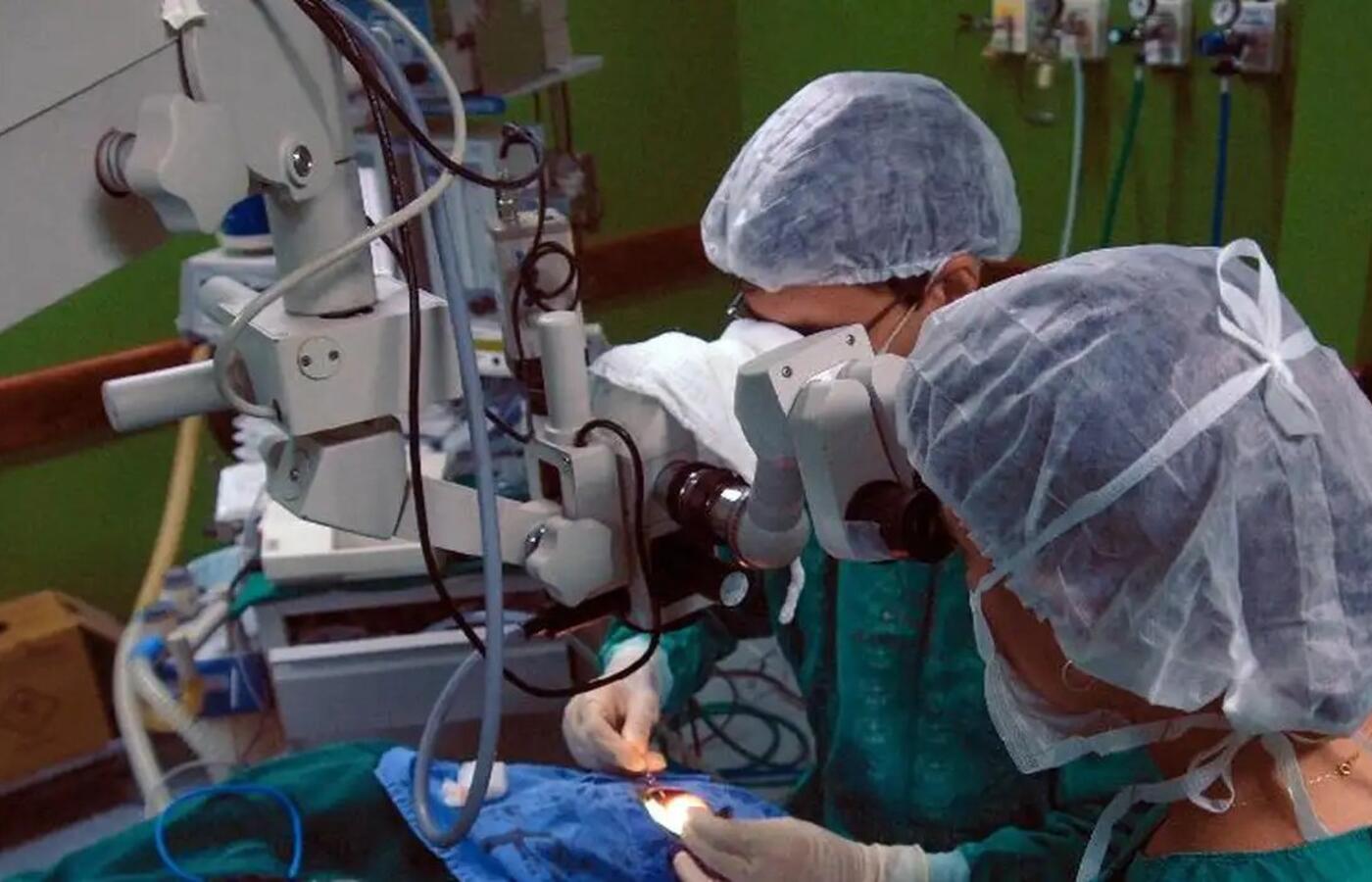 Doação de órgãos: Brasil bate recorde, mas recusa familiar ainda é alta Doação de órgãos: Brasil bate recorde, mas recusa familiar ainda é alta