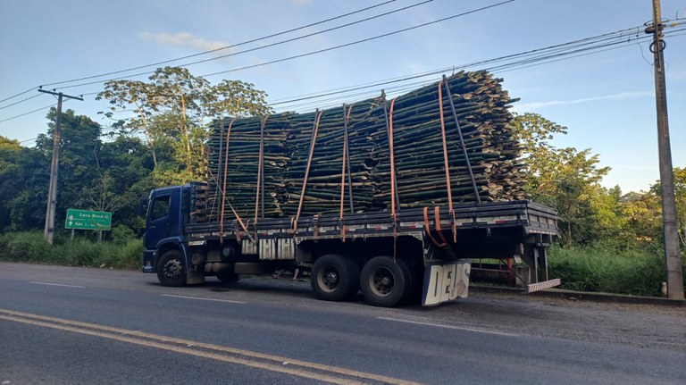 Fiscalização da PRF na Bahia flagra transporte irregular de bambu e alerta para riscos de cargas mal amarradas Fiscalização da PRF na Bahia flagra transporte irregular de bambu e alerta para riscos de cargas mal amarradas
