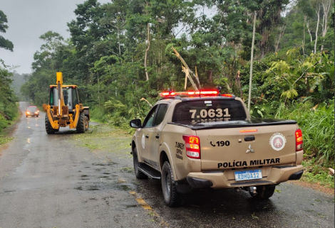 Polícia Rodoviária Estadual remove árvore e libera BA-130 após fortes chuvas em Itagi